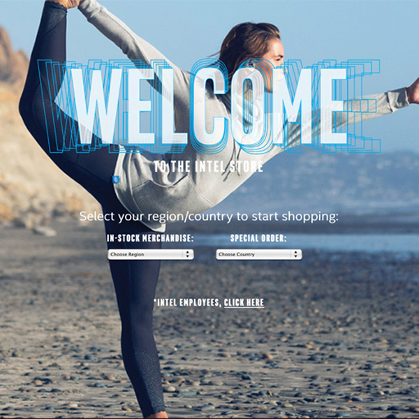 The Intel Store Web Site Screen